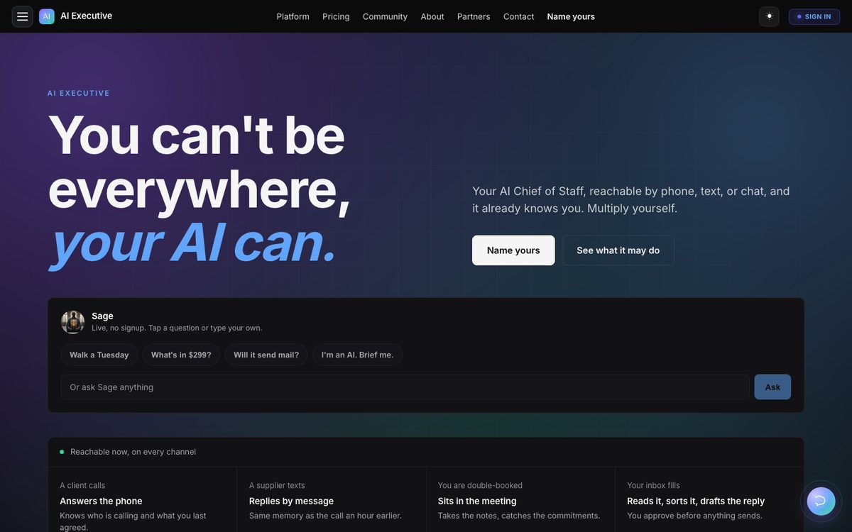 AI Executive homepage